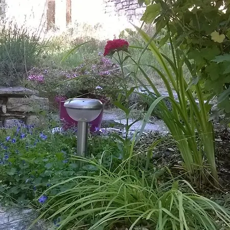 Au Domaine Des Oiseaux Bed & Breakfast Montredon (Lozere)