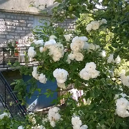 Bed & Breakfast Au Domaine Des Oiseaux