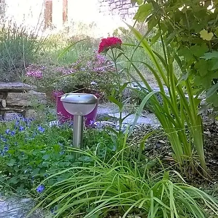 Au Domaine Des Oiseaux Montredon (Lozere)