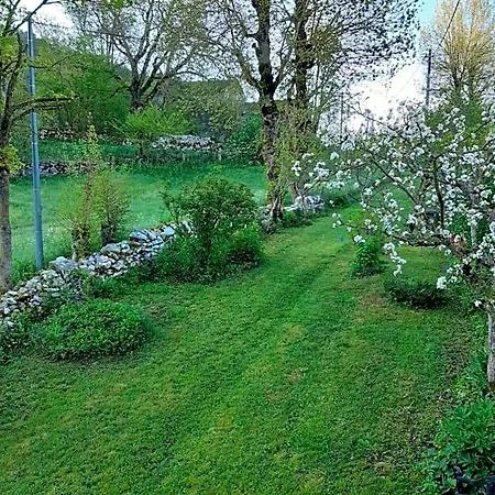 Au Domaine Des Oiseaux Montredon (Lozere)