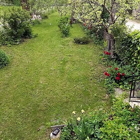 Au Domaine Des Oiseaux